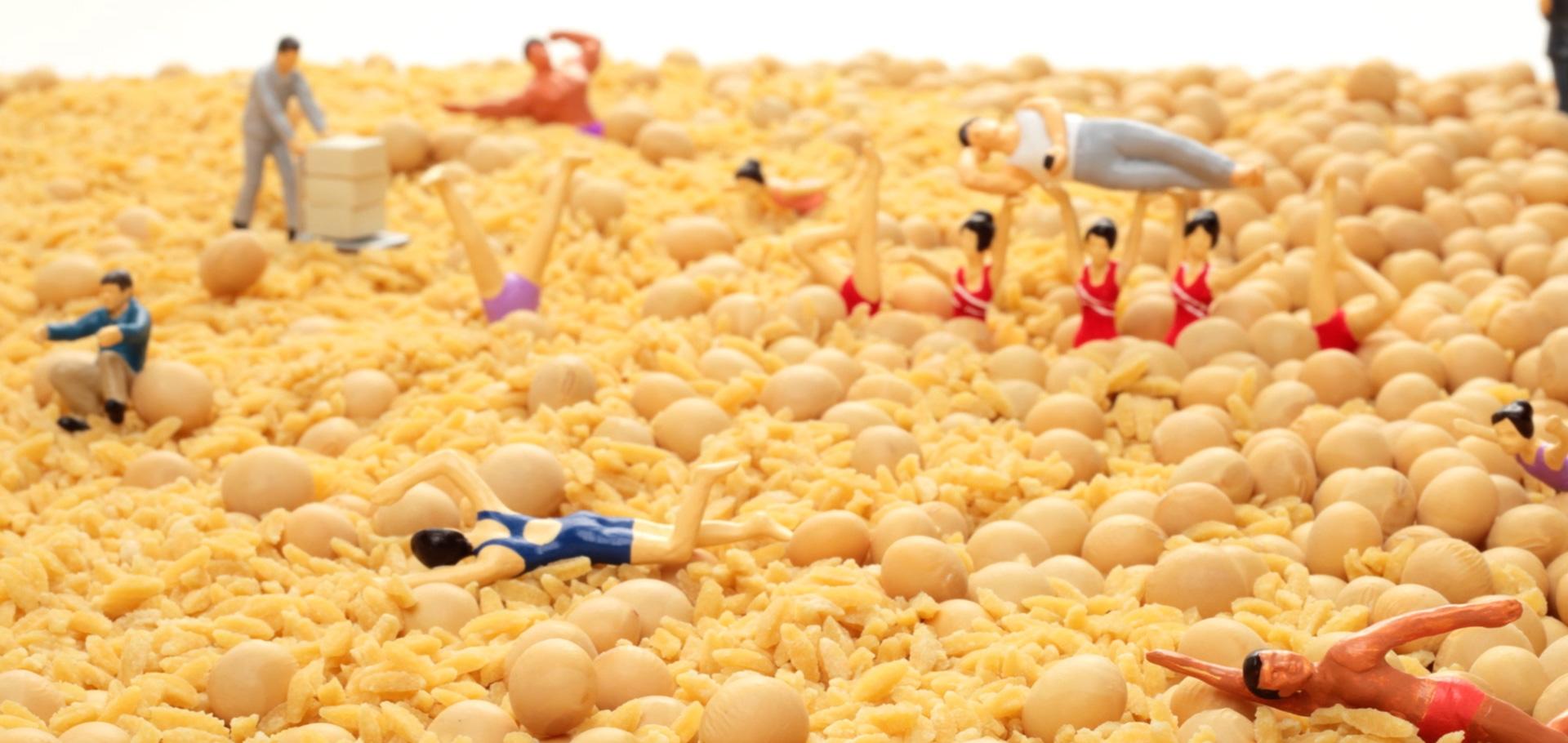 フジッコ ダイズライス「Beanus」 thumbnail from dwarf studios